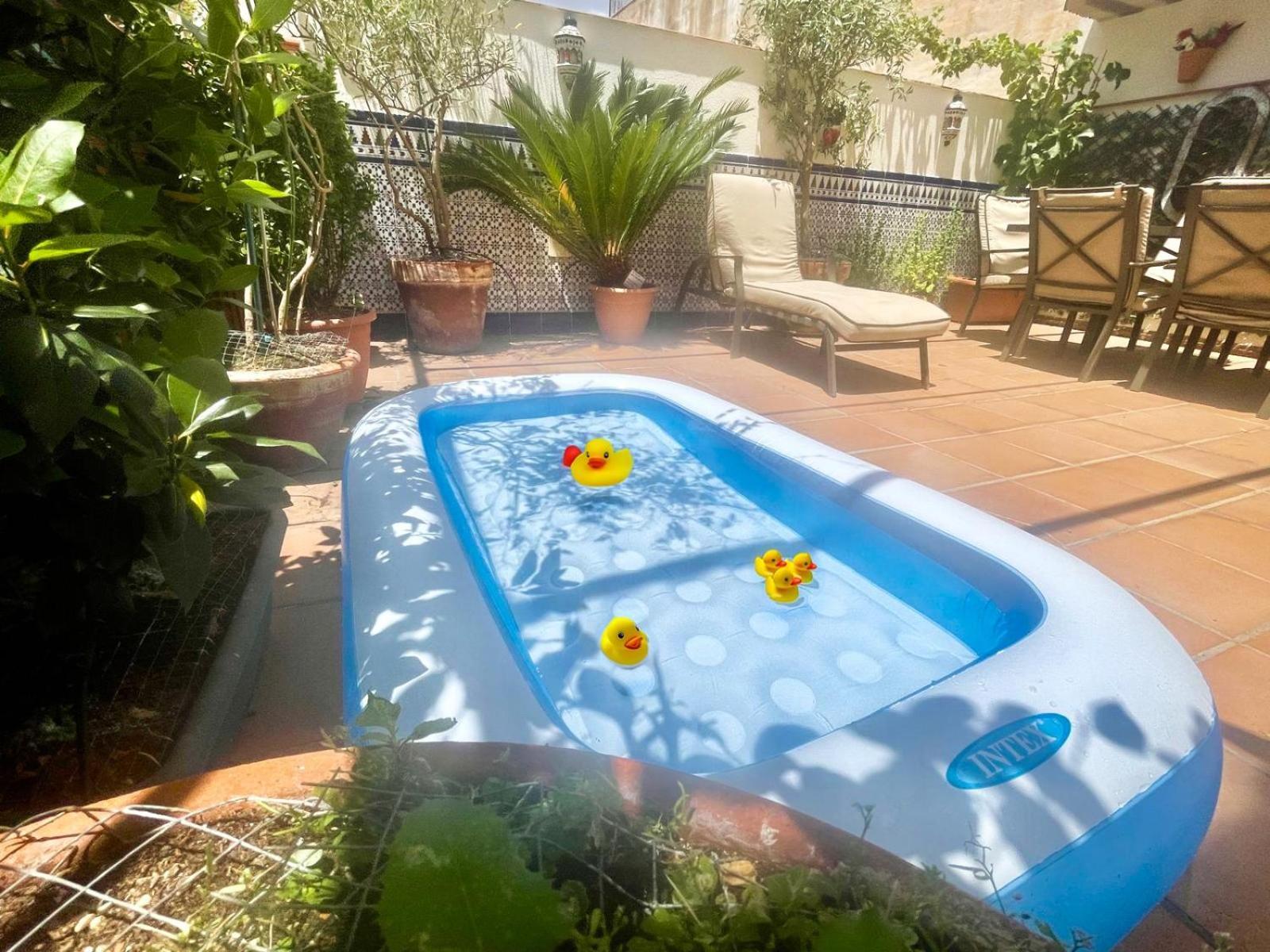 Maravilloso Apartamento Centrico De 70M2, Jardin Propio 40M2 Con Piscina Para Ninos Y Parking Opcional Malaga Zewnętrze zdjęcie
